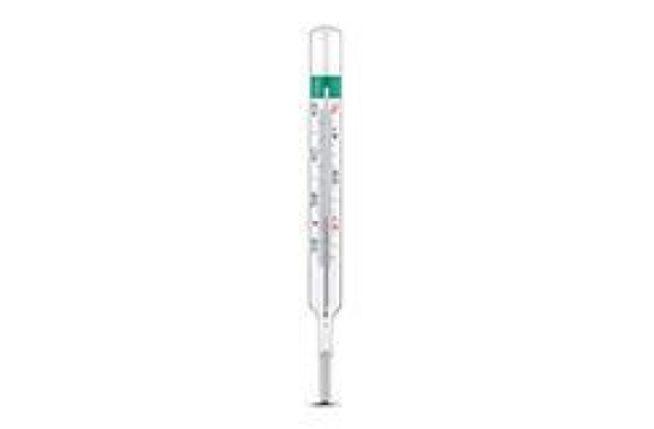 Vedoecoplus thumb
