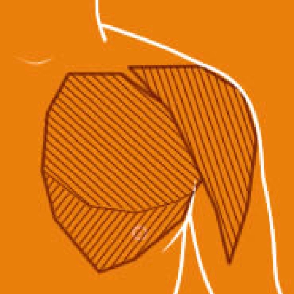 Caldo che piace 185x185